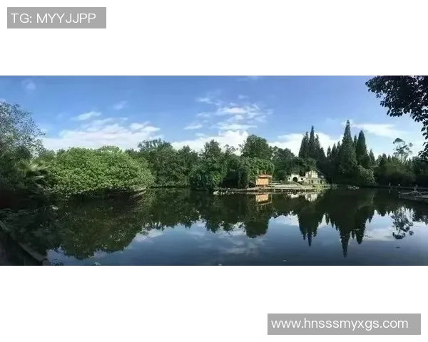 重庆排球队创新高展现团队协作精神引领排球新风潮